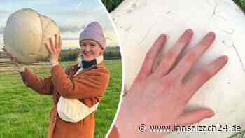 „Doppelt so groß wie mein Kopf“: Frau findet mächtigen Pilz – Familie ernährt sich tagelang davon