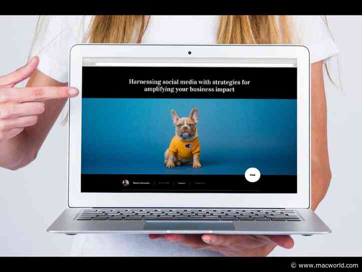 How one WordPress plugin is changing professional websites forever