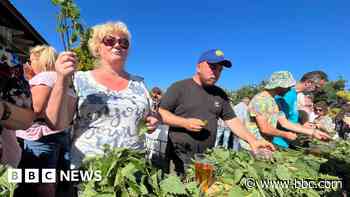 Nettle eating hosts cancel event after pub reopens