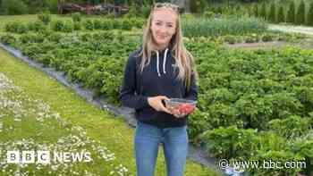 Husband's tribute to 'loving' wife killed on road