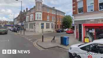 Mum dies after pair hit by car in street