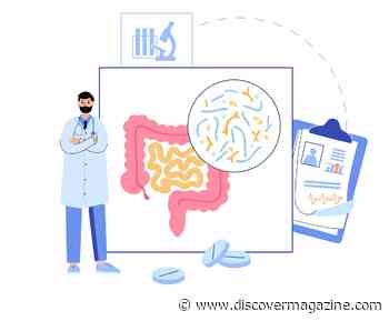 Medicating the Gut and Not the Brain Could Help Depression and Anxiety