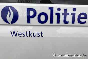 Vandaal maakt gat in ruit van geparkeerde auto