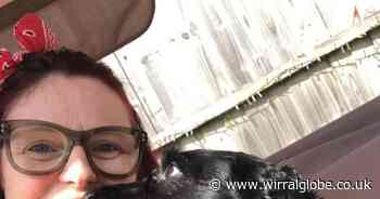 'He needs to be home with me': Owner's plea after dog 'taken' from outside shop