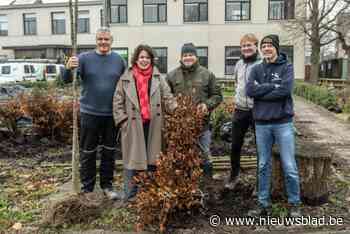 Bewoners nemen 45 bomen en 402 meter haag mee tijdens afhaalmoment ‘Behaag RSL’