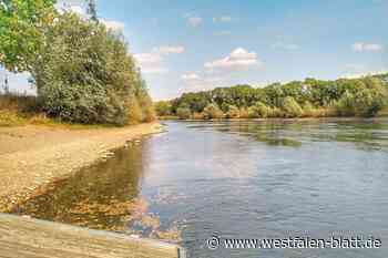 Umweltausschuss gibt Hitzeaktionsplan in Auftrag