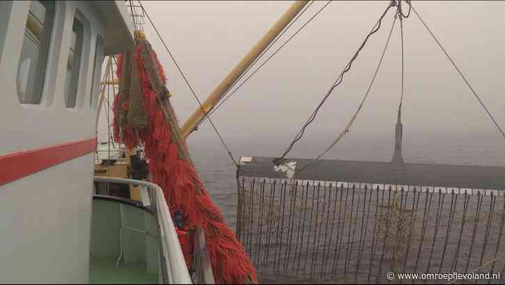 Urk - Straks geen verplichte viscontroles meer voor Urker afslag