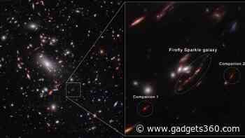 NASA’s Webb Telescope Reveals Firefly Sparkle, a Milky Way-Like Galaxy