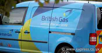 British Gas customers given £776 after daily charge axed