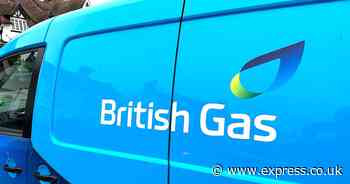 British Gas warning as customers have hours left to sign up for half price electricity