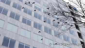 Office market could improve in 2025 with tenant commitments