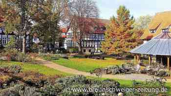 Rosige Zeiten: Die Umwandlung des Kurparks in einen Rosengarten