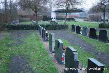 Stad plaatst extra wildraster nadat everzwijnen kerkhof Opoeteren omploegen