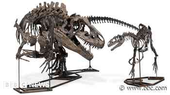 Rare dinosaur trio fetches £12.4m at auction