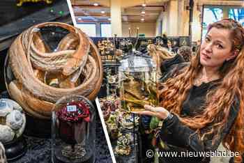 Markt vol macabere rariteiten is groot succes: “Voor sommigen is dit luguber, voor mij is dit kunst”