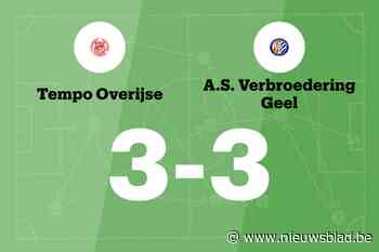 Tempo Overijse speelt gelijk in thuiswedstrijd tegen ASV Geel