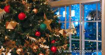 Expert divulges 35p vinegar hack to get rid of Christmas tree risk