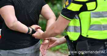 Abdul Ali raakt slaags met beveiligers van de Albert Heijn en bedreigt ze: 'Ik maak jou af’