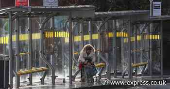 Government issues update over free bus pass for State Pensioners