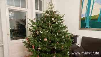 Weihnachtsbaum pflegen: so bleibt er über Wochen frisch und schön