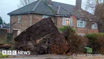 Your photos: Storm clear-up and decorations