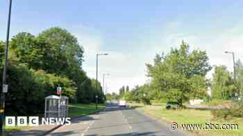 Police dog injured as armed officers target van