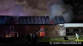 Uitslaande brand in loods langs Poelkapellestraat: woning gespaard, zware schade aan voertuigen
