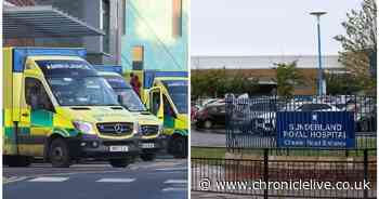 Flu 'tidal wave' sees pressure on NHS rise and hundreds of beds needed across North East hospitals