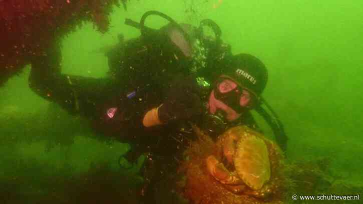 Ze zien geen hand voor ogen in de Noordzee, maar toch vinden duikers van De Zeester lang vermiste kotters terug
