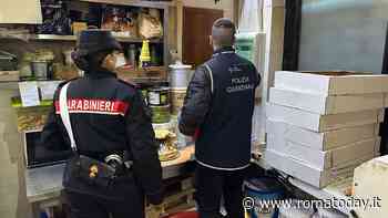 Locali da incubo: feci di topo nei laboratori e servizi igienici come magazzino