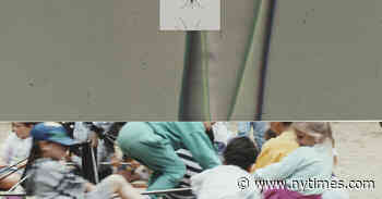 The Case for Gene Drives to Combat Malaria