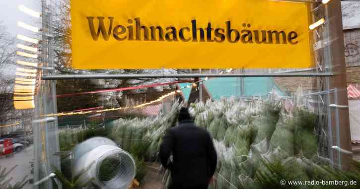 Dutzende Christbäume gestohlen