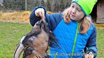 Schlehengäuschule Gechingen: Ziegen gesucht - hoffen auf ein kleines Weihnachtswunder
