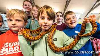 Veel activiteiten op de kinderboerderij tijdens de kerstvakantie