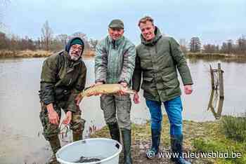 Extra vis voor natuurreservaat: “Zorgen voor een kwalitatief visbestand”