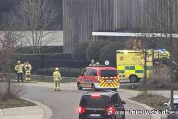 Jonah (23) uit Martenslinde komt om na arbeidsongeval: “Hij was ongelofelijk geliefd bij de collega’s”