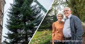 Kerstverhaal van een kerstboom: de laatste reis van ‘ons moeders’ bescheiden sparretje