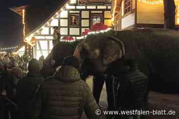 Riesenansturm auf Entdeckerweihnacht im Tierpark Ströhen