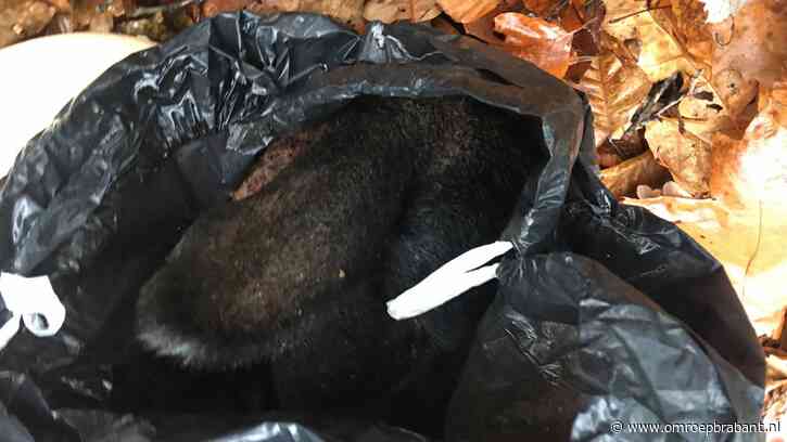 Plastic zakken met in stukken gehakt kalf gevonden in bos