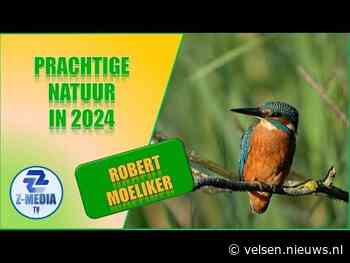 Natuur en de IJmond gaan heel goed samen, zo bewijst natuurfotograaf Robert Moeliker