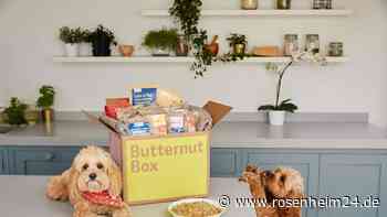 Weihnachtliche Aufforderungen zur Hilfe: Bewahrt die Hunde vor Juckreiz!