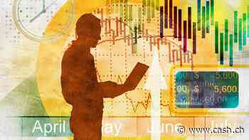 Aktien, Immobilen, Gold, Devisen, Kryptos: So wird das Anlagejahr 2025