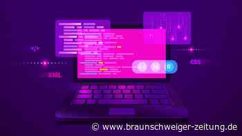 Die Software-Retter: Wie Deutschland die Computerwelt schützt