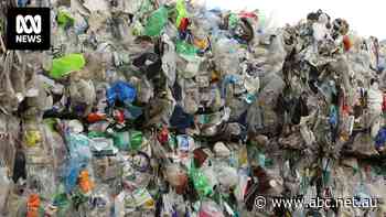 Billionaire Annie Cannon-Brookes opposes planned NSW plastic recycling plant