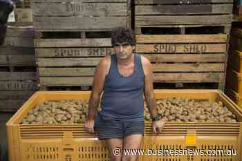 ACCC fines Galati over breaches