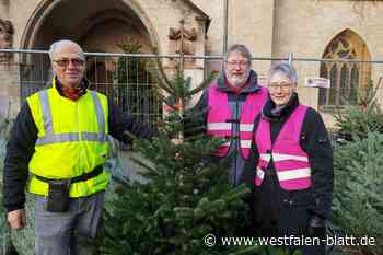 Weihnachtsbaum-Verkauf für den guten Zweck