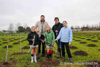 Het Wonderwoud is net open, en daar is al het volgende bos van de toekomst: 1.500 bomen aangeplant voor Hellebos 2.0