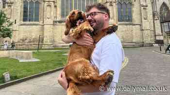 Do you REALLY know your dog? 5 curious owners use doggy DNA tests to find out their pets' true breeds - with shocking results