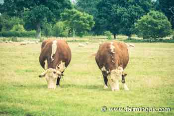 'Pioneering' environmental baselining pilot signs up 170 farms