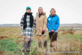 Vlaanderen trekt  bijna 700.000 euro uit voor nieuw wandelparcours van 150 kilometer in Zwin: “Inspelen op de hype”